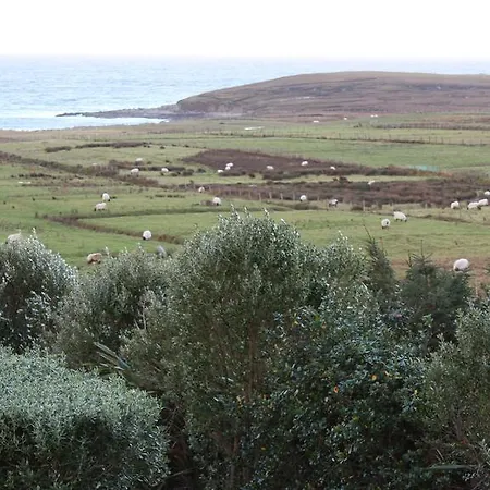 Atlantic Breeze Bed and breakfast