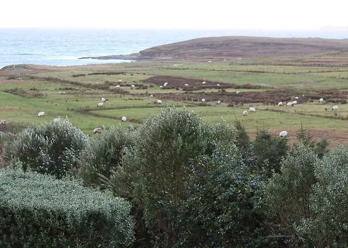 Atlantic Breeze 住宿加早餐酒店